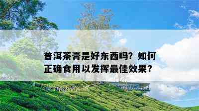 普洱茶膏是好东西吗？怎样正确食用以发挥更佳效果?