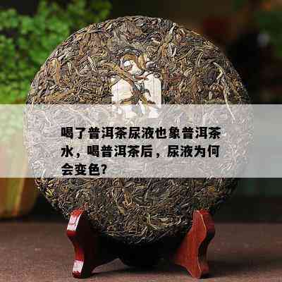 喝了普洱茶尿液也象普洱茶水，喝普洱茶后，尿液为何会变色？