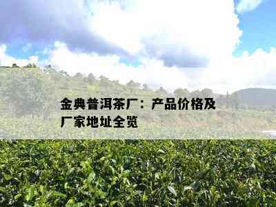 金典普洱茶厂：产品价格及厂家地址全览