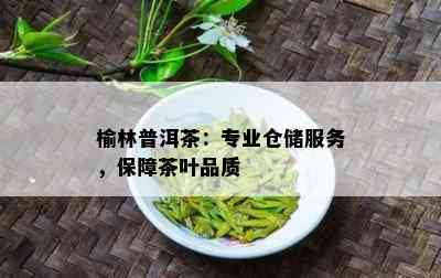 榆林普洱茶：专业仓储服务，保障茶叶品质