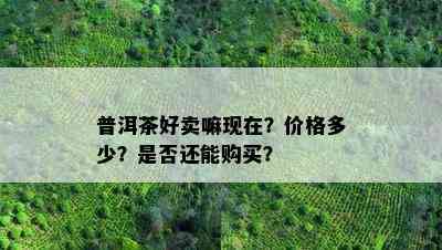 普洱茶好卖嘛现在？价格多少？是否还能购买？