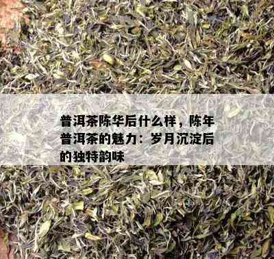 普洱茶陈华后什么样，陈年普洱茶的魅力：岁月沉淀后的特别韵味