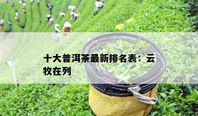 十大普洱茶最新排名表：云牧在列