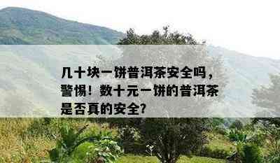 几十块一饼普洱茶安全吗，警惕！数十元一饼的普洱茶是不是真的安全？