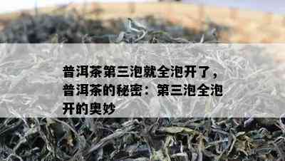 普洱茶第三泡就全泡开了，普洱茶的秘密：第三泡全泡开的奥妙