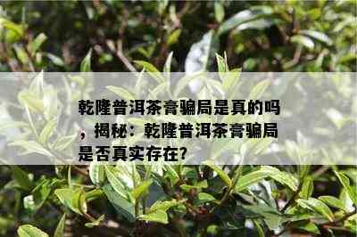 乾隆普洱茶膏骗局是真的吗，揭秘：乾隆普洱茶膏骗局是否真实存在？