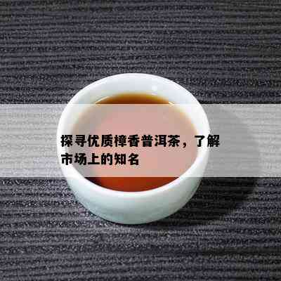 探寻优质樟香普洱茶，了解市场上的知名