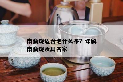 南蛮烧适合泡什么茶？详解南蛮烧及其名家