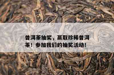 普洱茶抽奖，赢取珍稀普洱茶！参加我们的抽奖活动！