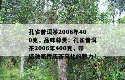 孔雀普洱茶2006年400克，品味尊贵：孔雀普洱茶2006年400克，带您领略传统茶文化的魅力！