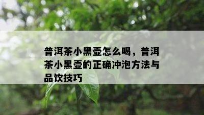 普洱茶小黑壶怎么喝，普洱茶小黑壶的正确冲泡方法与品饮技巧