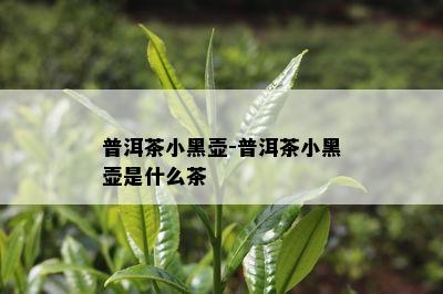 普洱茶小黑壶-普洱茶小黑壶是什么茶