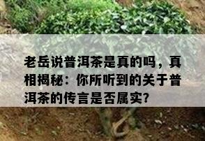 老岳说普洱茶是真的吗，真相揭秘：你所听到的关于普洱茶的传言是否属实？