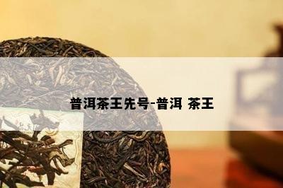 普洱茶王先号-普洱 茶王