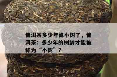 普洱茶多少年算小树了，普洱茶：多少年的树龄才能被称为“小树”？