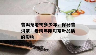 普洱茶老树多少年，探秘普洱茶：老树年限对茶叶品质的影响