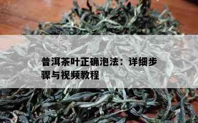 普洱茶叶正确泡法：详细步骤与视频教程