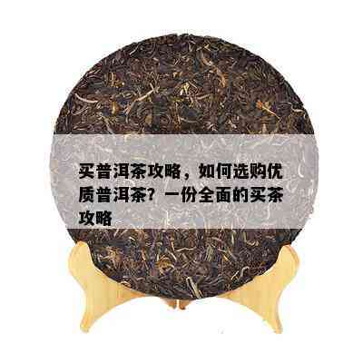 买普洱茶攻略，如何选购优质普洱茶？一份全面的买茶攻略