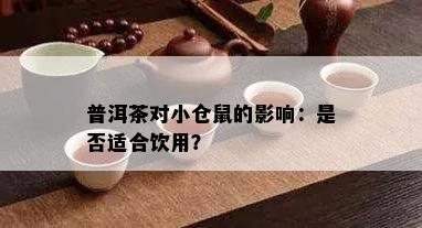 普洱茶对小仓鼠的影响：是否适合饮用？