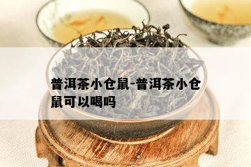 普洱茶小仓鼠-普洱茶小仓鼠可以喝吗