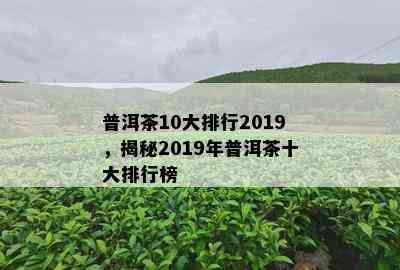 普洱茶10大排行2019，揭秘2019年普洱茶十大排行榜