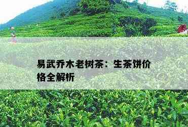 易武乔木老树茶：生茶饼价格全解析