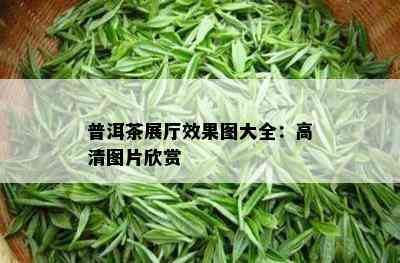 普洱茶展厅效果图大全：高清图片欣赏