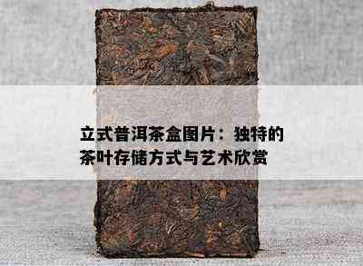 立式普洱茶盒图片：独特的茶叶存储方式与艺术欣赏