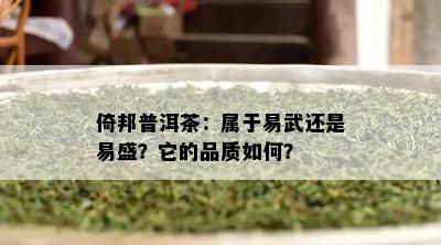 倚邦普洱茶：属于易武还是易盛？它的品质怎样？