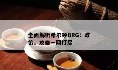 全面解析希尔顿BRG：政策、攻略一网打尽