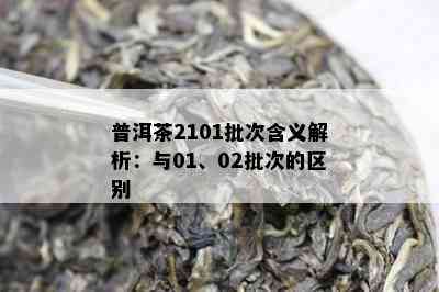 普洱茶2101批次含义解析：与01、02批次的区别