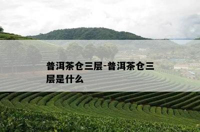 普洱茶仓三层-普洱茶仓三层是什么