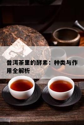 普洱茶里的酵素：种类与作用全解析