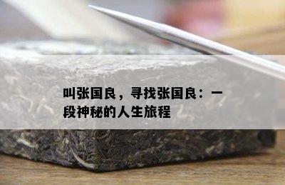 叫张国良，寻找张国良：一段神秘的人生旅程