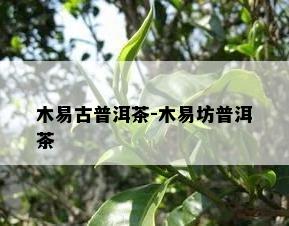 木易古普洱茶-木易坊普洱茶