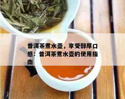 普洱茶煮水壶，享受醇厚口感：普洱茶煮水壶的使用指南