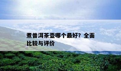 煮普洱茶壶哪个更好？全面比较与评价