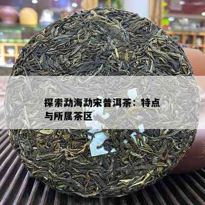 探索勐海勐宋普洱茶：特点与所属茶区