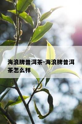 海浪牌普洱茶-海浪牌普洱茶怎么样