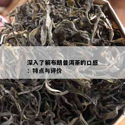 深入了解布朗普洱茶的口感：特点与评价