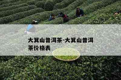 大箕山普洱茶-大箕山普洱茶价格表