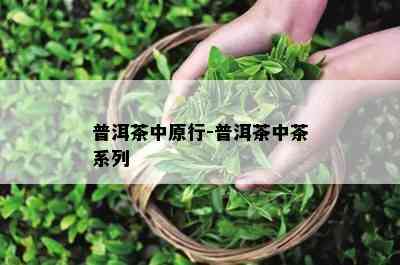 普洱茶中原行-普洱茶中茶系列