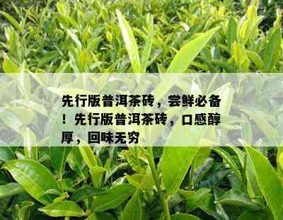 先行版普洱茶砖，尝鲜必备！先行版普洱茶砖，口感醇厚，回味无穷