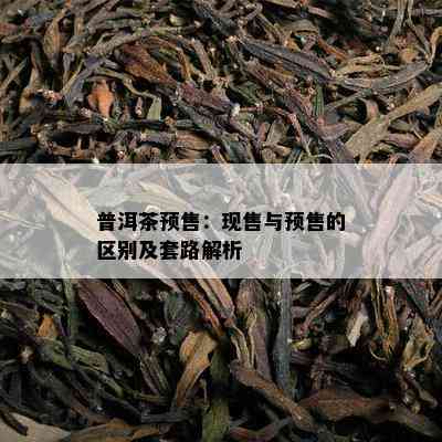 普洱茶预售：现售与预售的区别及套路解析