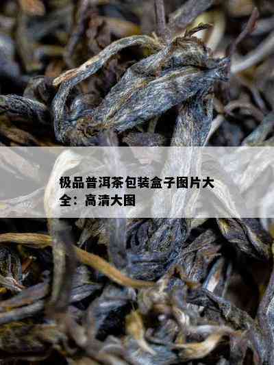 极品普洱茶包装盒子图片大全：高清大图