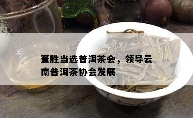 董胜当选普洱茶会，领导云南普洱茶协会发展