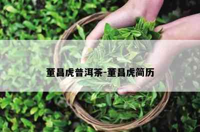 董昌虎普洱茶-董昌虎简历