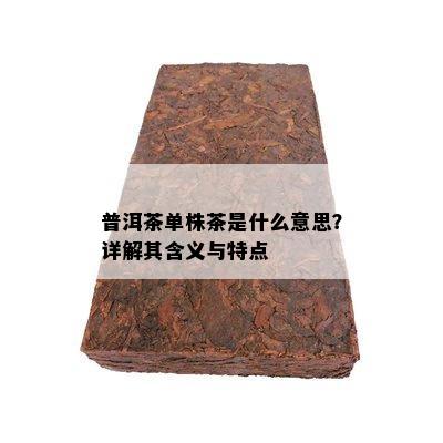 普洱茶单株茶是什么意思？详解其含义与特点