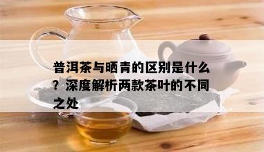 普洱茶与晒青的区别是什么？深度解析两款茶叶的不同之处