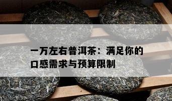 一万左右普洱茶：满足你的口感需求与预算限制